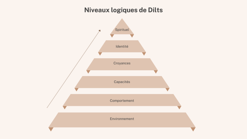 niveaux logiques de Dilts