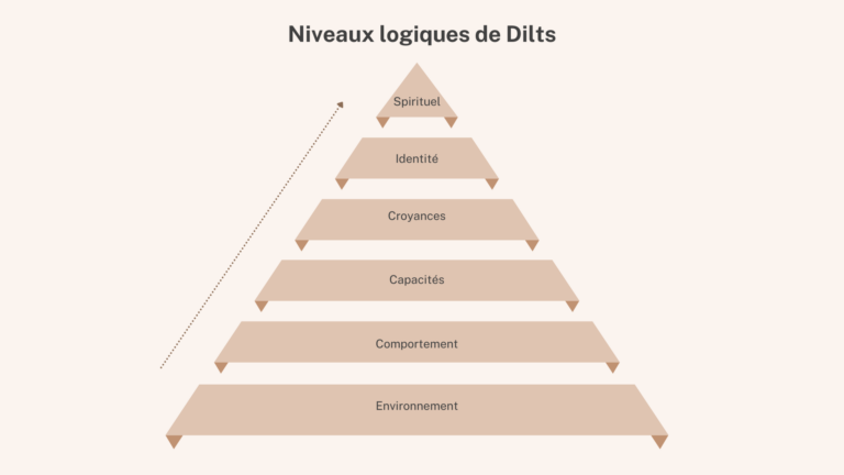 niveaux logiques de Dilts